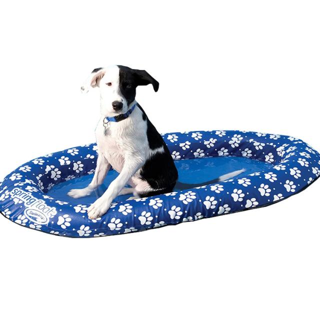 新品未開封です ペット 犬 浮き輪 ワンちゃん ドッグ フロート Mサイズ 小型犬 中型犬 うきわ 水遊び 浮輪 プール 海 Swimways 通販低価 Uniaoeucaliptotratado Com