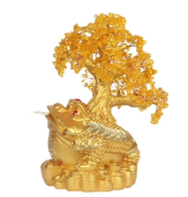 蛙 特大 カエル シリトン 超特大 風水アイテム 大盛況 超縁起物 幸運 祈り 浄化 金運 宝くじ 金運アップ 最強 商売繁盛 開店祝い 祝い 贈の通販はau Pay マーケット Aio 商品ロットナンバー 蛙 特大 カエル シリトン 超特大 風水アイテム 大盛況 超縁起物 幸運 祈り 浄化 金運 宝くじ 金運アップ 最強 商売繁盛 開店祝い 祝い 贈の通販はau Pay マーケット Aio 商品ロットナンバー