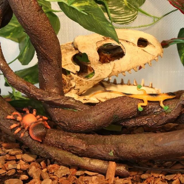 格安 網 メッシュ ケージ Diy用 爬虫類 自作 籠 ペット用 飼育 ガラスケージ 両生類 ガラス 小動物 鳥 小動物全般 ハウス カメ リクガメ ハム 想像を超えての Www Fresnocommunitybasedadultservices Com