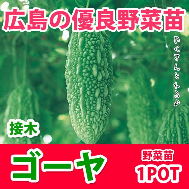 予約苗 野菜苗 ゴーヤ ニガウリ 接木苗1pot 納期指定不可 の通販はau Wowma ワウマ さいじょう緑花 商品ロットナンバー