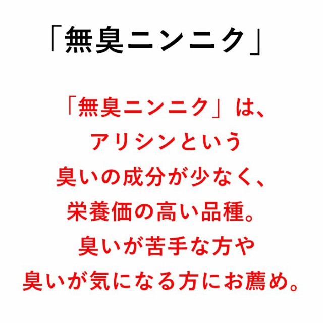 無臭ニンニクの種 にんにくの種 国産 島根県産 無消毒 500gラベルなし 予約商品 の通販はau Pay マーケット さいじょう緑花 商品ロットナンバー