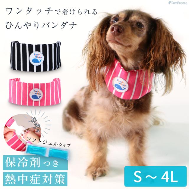 犬 夏 熱中症対策 クールバンダナ クールネック クールバンド 小型犬 中型犬 大型犬 涼しい かわいい ひんやり 冷えひえボーダー S 4l の通販はau Pay マーケット ペット用品専門メーカー ポンポリース 商品ロットナンバー