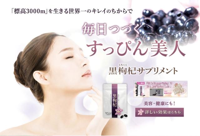 黒枸杞サプリメント お店のカテゴリ T Youスーツケース専門店ネットショッピング 通販はau Pay マーケット