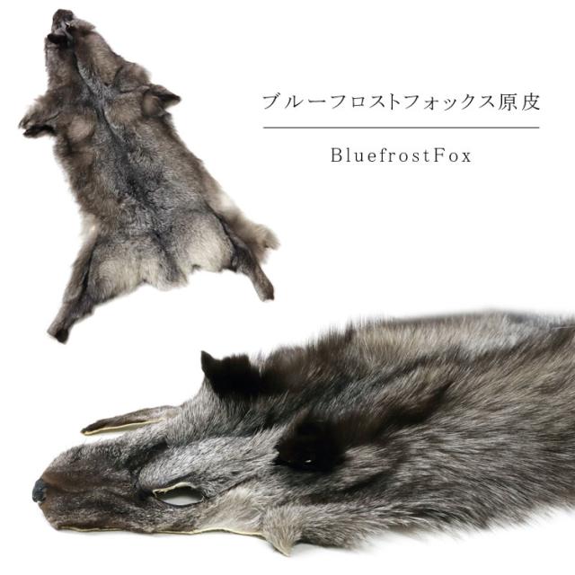 超特価激安 ブルーフロストフォックス ファー 原皮 顔付き ボア 剥製 フォックス シルバーフォックス ブルーフォックス エクステル ナチュラルカラー 魅力的な Www Ozarkoffroadclub Org