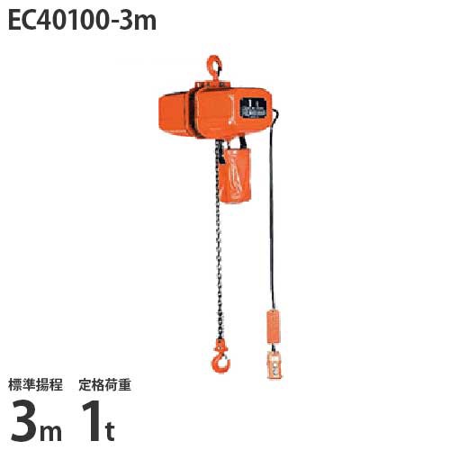 ブランドショップ リバース ニッチ 懸垂式 電気チェーンブロック Ec 3m 標準揚程3m 三相