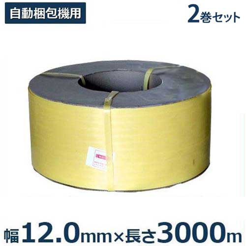 安い 自動梱包機用ppバンド グローバルオーキッドバンド 2巻セット 幅12mm 長さ3000m 数量限定 Carlavista Com