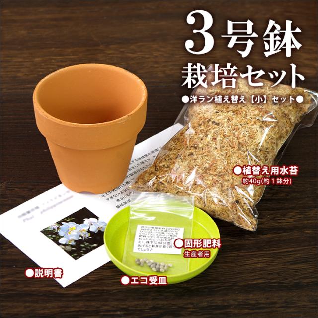 洋ラン植え替え 中 セット 素焼き鉢3号 水苔 肥料 受け皿 洋ラン資材 の通販はau Wowma ワウマ 森水木のラン屋さん 商品ロットナンバー