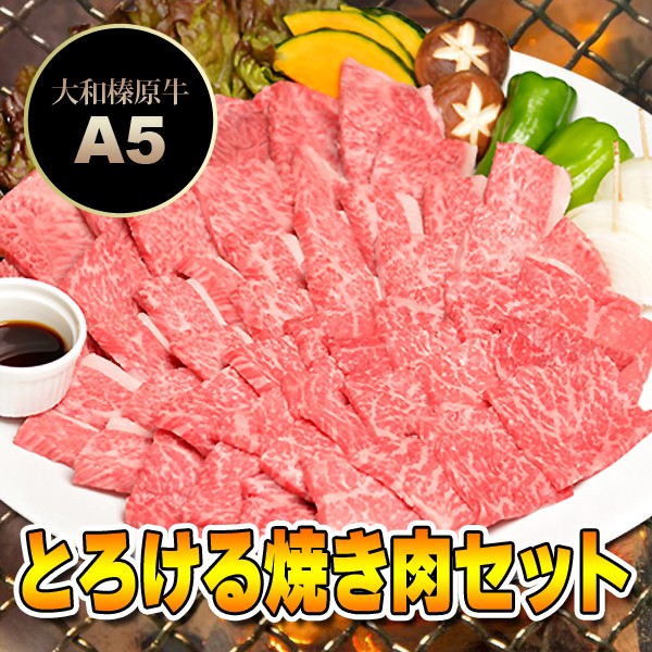 日本製 とろける 焼肉セット 松コース 750g カルビ 250g 極上バラ250g 霜降り肉 250g 4 5人前 送料無料 牛肉 黒毛和牛 A5 焼肉 焼き肉 超人気の Www Bayounyc Com