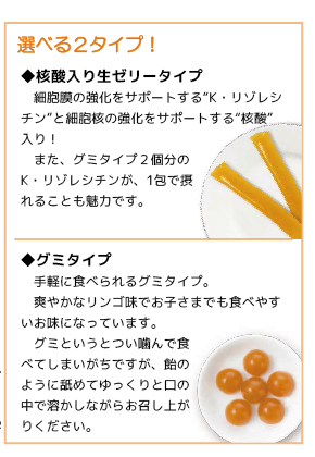 送料無料 Next K ネクストケイ 核酸入り生ゼリー 30包 K リゾレシチン含有食品 本物研究所 口コミで評判のおすすめ サプリ Kリゾレシの通販はau Pay マーケット シーズニーズ Au Pay マーケット店 商品ロットナンバー