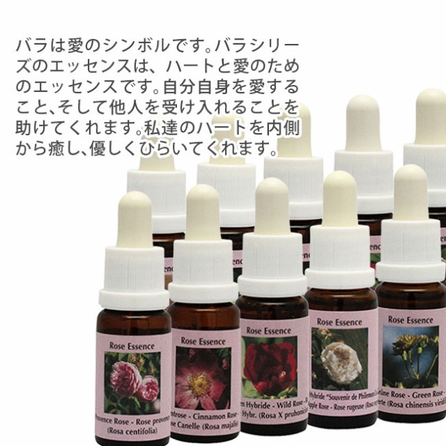 特価人気 ローズエッセンス全10本セット PAY マーケット - フラワーエッセンスのAsatsuyu|商品ロットナンバー:348503722 コルテPHIエッセンス ローズエッセンスの通販はau 好評NEW