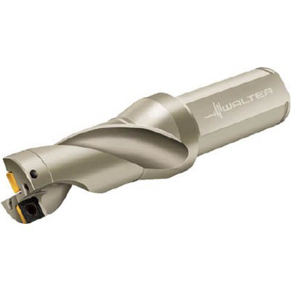 50%OFF!】 ワルター チップ交換式ドリル B4212.UF19.143.Z1.029R-1 ...