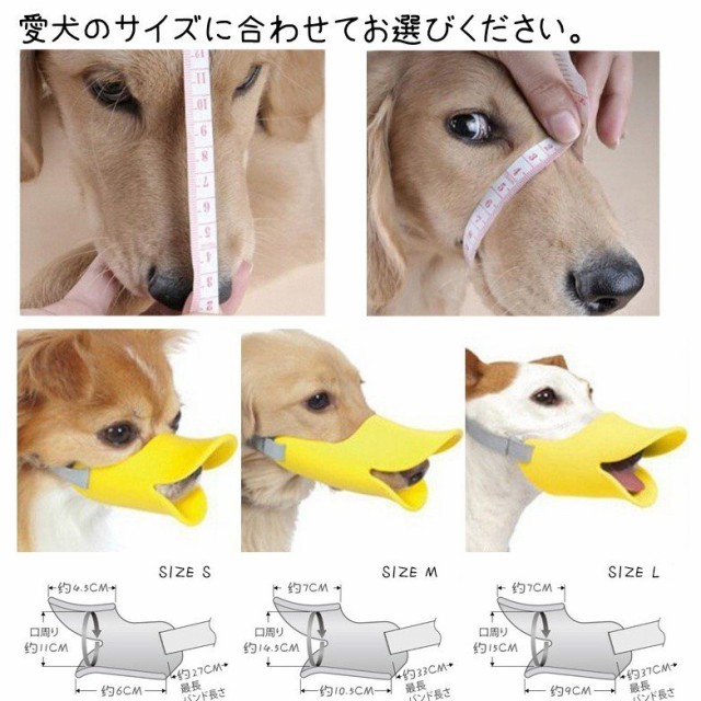 トップ 100 犬 口輪 すべての動物の絵