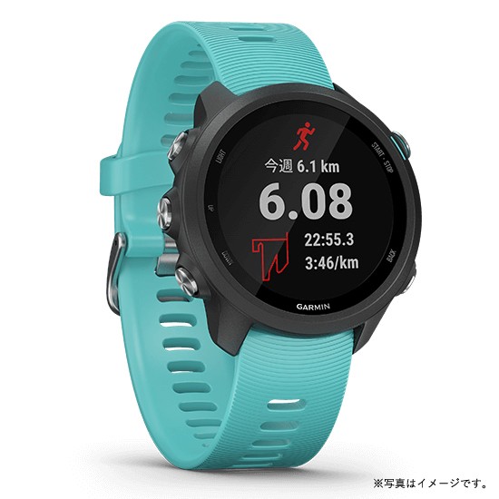 garmin 245 black