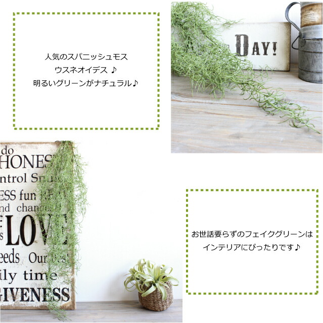 スパニッシュモス チランドシア ウスネオイデス 造花 インテリア フェイクグリーン Ct触媒 観葉植物 チランジア ティランジア テの通販はau Wowma ワウマ フェイクグリーンのお店 みんとかふぇ 商品ロットナンバー
