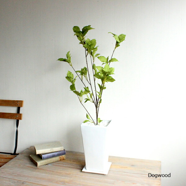 激安ブランド 特別価格 ドッグウッド ハナミズキ 78cm 四角鉢 Ct触媒 造花 インテリア 観葉植物 大型 フェイクグリーン 送料無料 北海道 沖 Sale 公式通販 直営店限定 Mawaredenergy Com