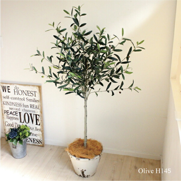 すべての美しい花の画像 綺麗な人工 観葉 植物 インテリア