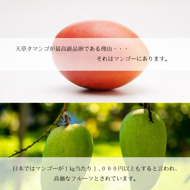 超激安 天草タマンゴ10個入り 天草宝島 生卵 たまご マンゴ 飼料天草 高級 贈答用 ご褒美 日本初 濃厚 新鮮 ブランド 贈り物 プレゼント ギ 値引きする Olsonesq Com