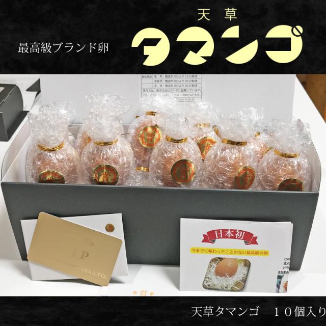 超激安 天草タマンゴ10個入り 天草宝島 生卵 たまご マンゴ 飼料天草 高級 贈答用 ご褒美 日本初 濃厚 新鮮 ブランド 贈り物 プレゼント ギ 値引きする Olsonesq Com