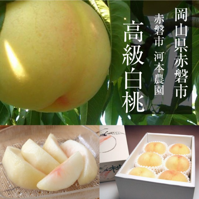 安い人気 河本農園 岡山 産地直送の通販はau PAY マーケット - いきいきショップねんりん|商品ロットナンバー:454774832 清水白桃 11〜13玉 3kg前後 訳あり 白桃 超特価格安