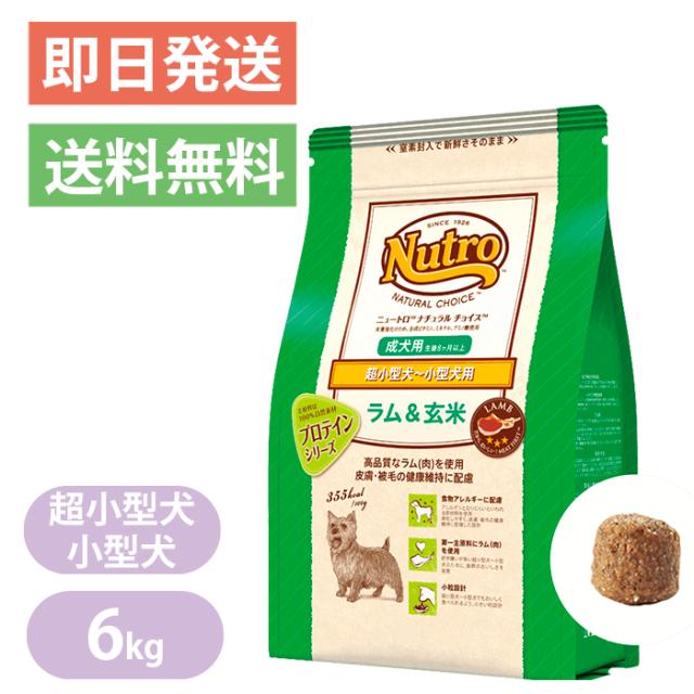 即納 最大半額 ニュートロ ナチュラルチョイス 超小型 小型犬用 成犬用 ラム 玄米 6kg ドッグフード プロテインシリーズ メーカー希望小売価格から30 Off Lovemesomegadgets Com