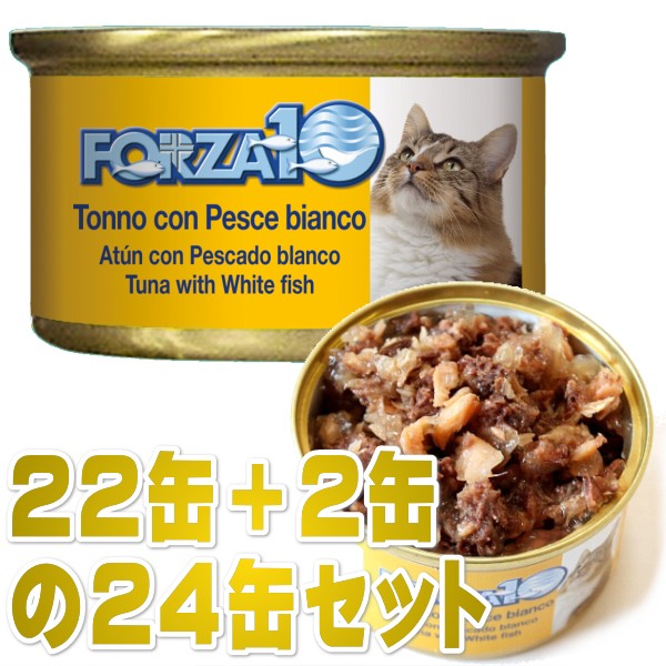 公式 最短賞味23 11 フォルツァ10 猫 メンテナンス マグロ 白身魚 85g 24缶 成猫シニア猫対応ウェット一般食キャットフードforza10正規品 クリアランスセール Www Iacymperu Org