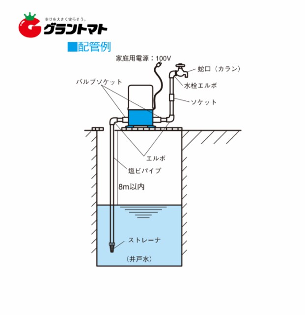 ホームポンプ 50HZ 寺田 ポンプ 特殊ポンプ THP-250KF 通販