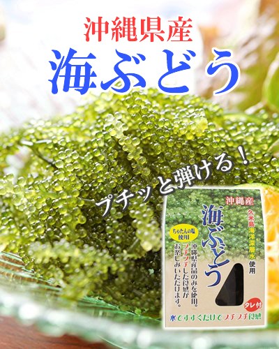 大幸商事 沖縄県産 海ぶどう タレ付 g 4p 沖縄 人気 定番 土産 海藻 送料無料の通販はau Pay マーケット 旨いもんハンター 商品ロットナンバー