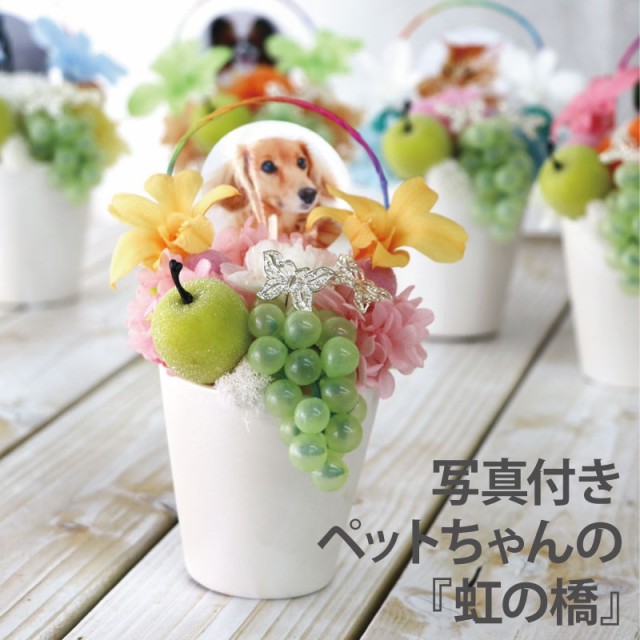 即日発送 16時〆切 お供え 虹の橋 送料無料 プリザーブドフラワー 仏花 ペット かわいい 花 供養花 猫 犬 うさぎ