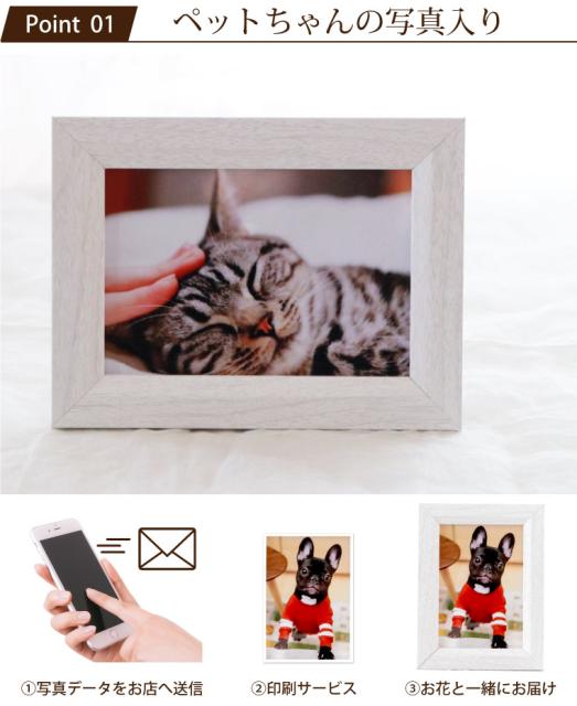 海外正規品 即日発送 16時〆切 ペット お供え花 星になったあの子へ Ac 生花 送料無料 ペットちゃん供養花 お悔み ペットロス 犬 猫 うさぎ 60 Off Olsonesq Com