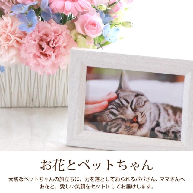 国産 即日発送 16時〆切 ペット お供え花 星になったあの子へ Ab 生花 送料無料 ペットちゃん供養花 お悔み ペットロス 犬 猫 うさぎ ファイナルバーゲン Carlavista Com
