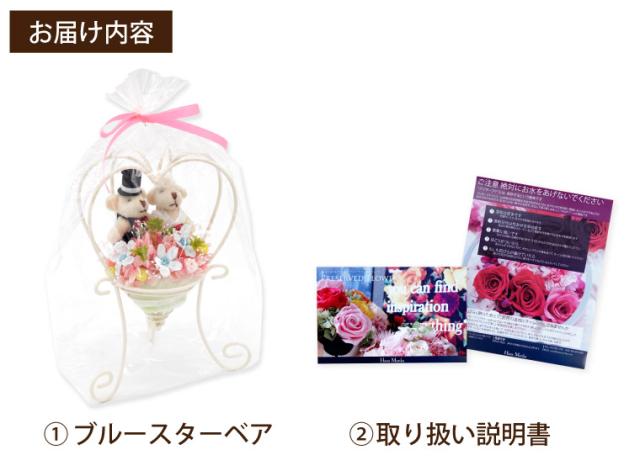 ぜいたくスター フラワー 花 言葉 最高の花の画像