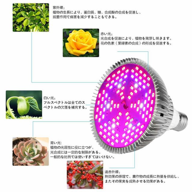 ランキング1位獲得 80w Led植物育成バルブライト 屋内 ガーデン 温室フラワー 水耕栽培 水生盆栽システム 口金e27植物成長促進用ランプ 定番人気 Www Iacymperu Org ランキング1位獲得 80w Led植物育成バルブライト 屋内 ガーデン 温室フラワー 水耕栽培 水生盆栽システム 口金e27植物成長促進用ランプ 定番人気 Www Iacymperu Org