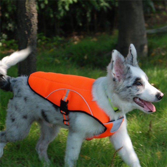海外最新 犬用クールベスト ひんやりお散歩タンクトップ 冷感犬服 熱中症対策グッズ お散歩 お出かけ 在庫一掃最安挑戦 Iacymperu Org