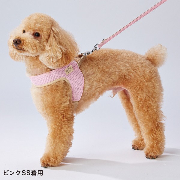 アドメイト ハーティウォーク リード 引き紐 Xs Ss グレー ミニ犬 超小型犬用 Add Mateの通販はau Pay マーケット ペティオ公式オンラインショップ Wow店 商品ロットナンバー