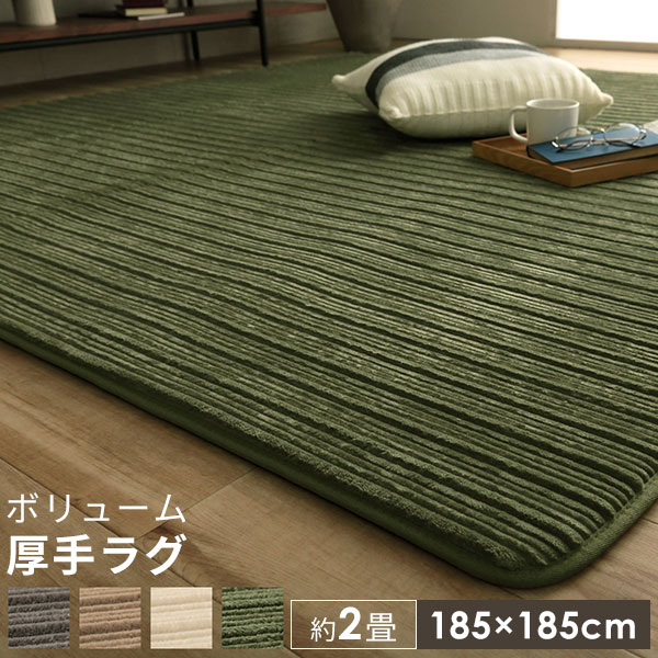 流行に ラグ 厚手 2畳 低反発 床暖房対応 ホットカーペット対応 フランネル ウレタン オールシーズン フランネルラグ ラグマット おしゃれ 185 Finalsale対象商品30 Off Pluri Elles Mb Ca