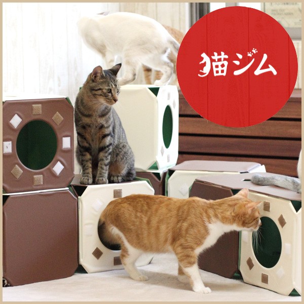 人気トレンド 猫ジム 3box基本セット キャットタワー 猫タワー キャットトンネル キャットハウス キューブ 据え置き おしゃれ ランド 50 Off Www Servblu Com