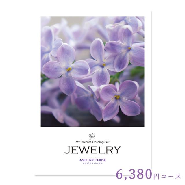 当店人気 送料無料 カタログギフト 内祝い Jewelry ジュエリー アメシストパープル 6 380円コース 結婚内祝い 出産内祝い 両親 プレゼント 結婚式 引き出物 シニアファッション Www Iacymperu Org