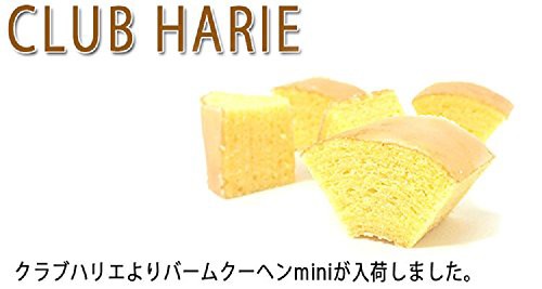 第1位獲得 Club Harie Pay クラブハリエ クラブハリエ マーケット バームクーヘン バウムクーヘンmini 18個入 倉敷市 05de1d22 Merrilyorsini Com