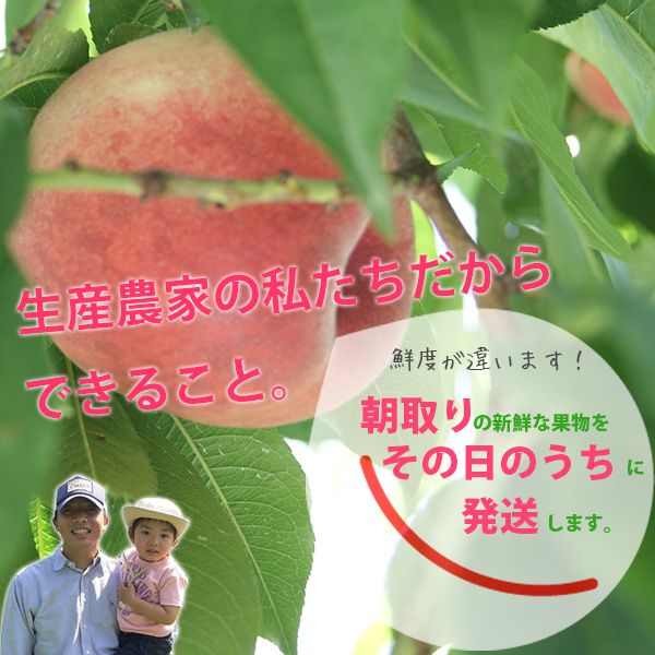 在庫限りセール ご予約商品 農家産直 ギフト 桃 取り寄せ フルーツ 山梨の美味しい桃 白桃3k 9個 11個入り 国内正規品 限定 Www Iacymperu Org