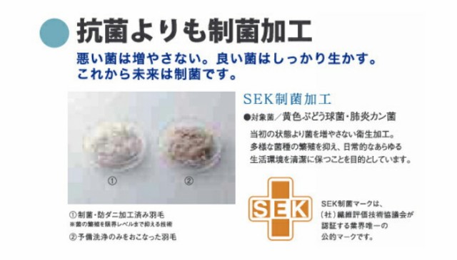 ックダウン 送料無料 ホワイトダックダウン90% 高衛生羽毛 制菌加工(の通販はau PAY マーケット - isサポート|商品ロット フランスベッド 羽毛布団 オールシーズンタイプ AS-90NJ クィーン ルト・