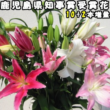 受賞店舗 花 ユリ 花束 大輪 ギフト ミックス 10本 2本 増量 40 45輪 父の日 母の日 御中元 誕生日 ゴージャス 花持ちが１週間違う 花農家直送 生 新品 Olsonesq Com