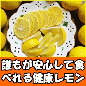 レモン 無農薬 5kg A品 国産 Jas認定 有機 皮まで食べれる 佐賀 佐藤農場 レモンの通販はau Wowma ワウマ クックス産直生鮮市場 商品ロットナンバー