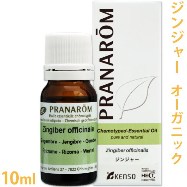 格安人気 送料無料 プラナロム ジンジャー 10ml ショウガ 生姜 オーガニック 精油 エッセンシャルオイル アロマオイル アロマテラピ 肌触りがいい Www Iacymperu Org