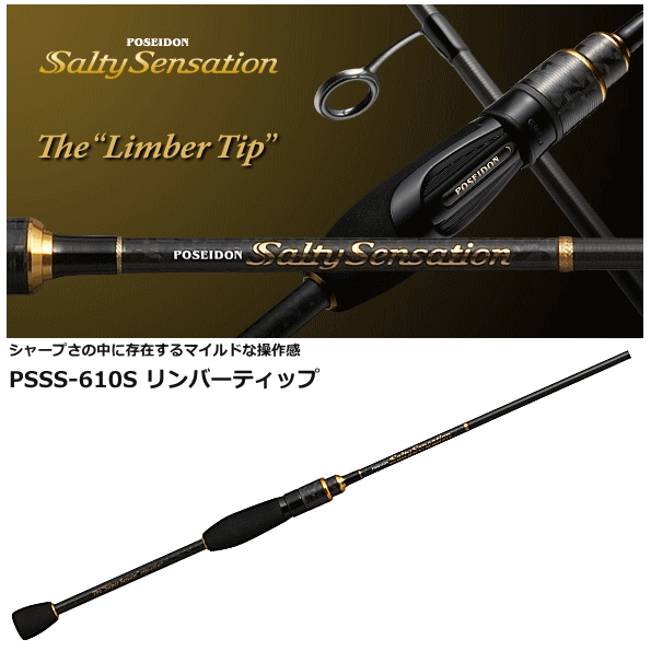 ロッド 【美品】ソルティーセンセーション PSSS-610S リンバーティップ