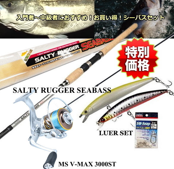オンラインストアストア セット 厳選 通販 釣場に直行 5点セット セット ロッド 竿 タイプ1 シーバス ロッド リール ルアー他 送料無料 オンラインストア格安