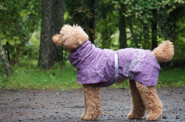50 Off Hurtta フルッタ ドッグレインコート Drizzle Coat ドリズルコート 大型犬用 正規販売代理店 Carlavista Com