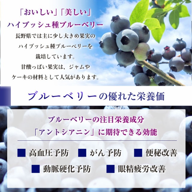 新しい到着 ブルーベリー 100g 12 長野県産 果物 フルーツ ギフト 通販 甘い 果実専用箱 100g 12p 最短順次発送 大特価 Arnabmobility Com