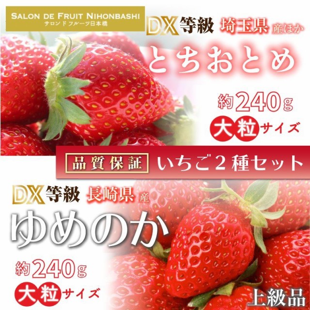 おしゃれ 最短順次発送 いちご セット とちおとめ ゆめのか 約240g 2 Dx 大粒 美味しい いちご 上級品 人気が高い Kampalamotors Com