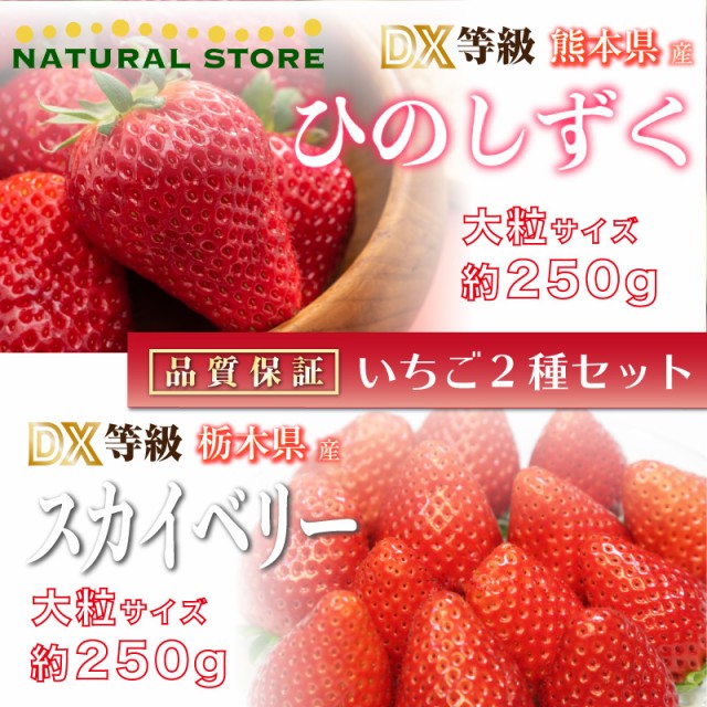 甘い 苺 Dx 大粒サイズ ご贈答 化粧箱 通販 いちご 約250g ギフト バレン ひのしずく スカイベリー 2パック ブランドいちご Gordonterrace Ca