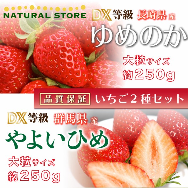 送料無料 ゆめのか やよいひめ 約250g 2パック Dx 大粒サイズ 化粧